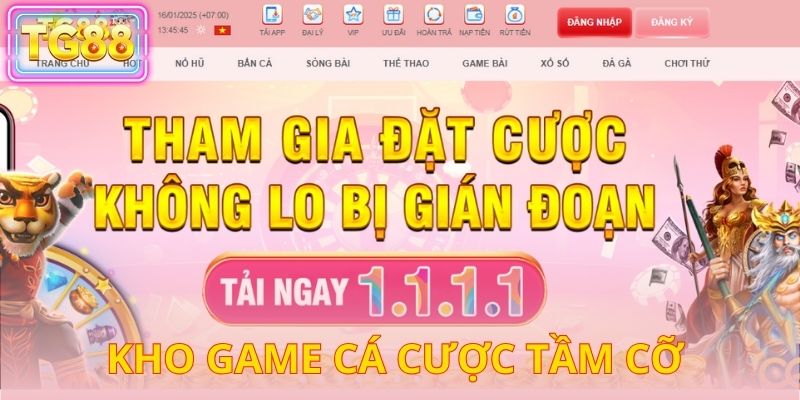 Kho game cá cược tầm cỡ tân binh phải thử